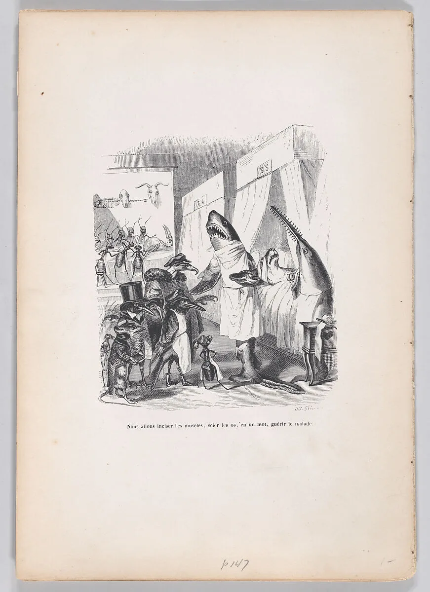 "We are going to incise the muscles, saw the bones, in a word, heal the sick" from Scenes from the Private and Public Life of Animals — Honoré de Balzac|J. J. Grandville