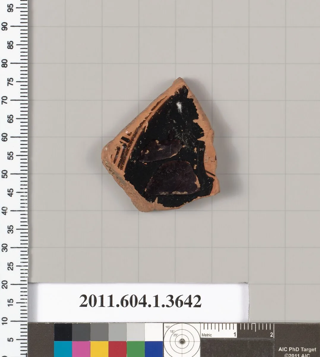 Terracotta fragment of a kylix (drinking cup) — Unknown