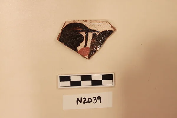 Ceramic Fragment — Unknown