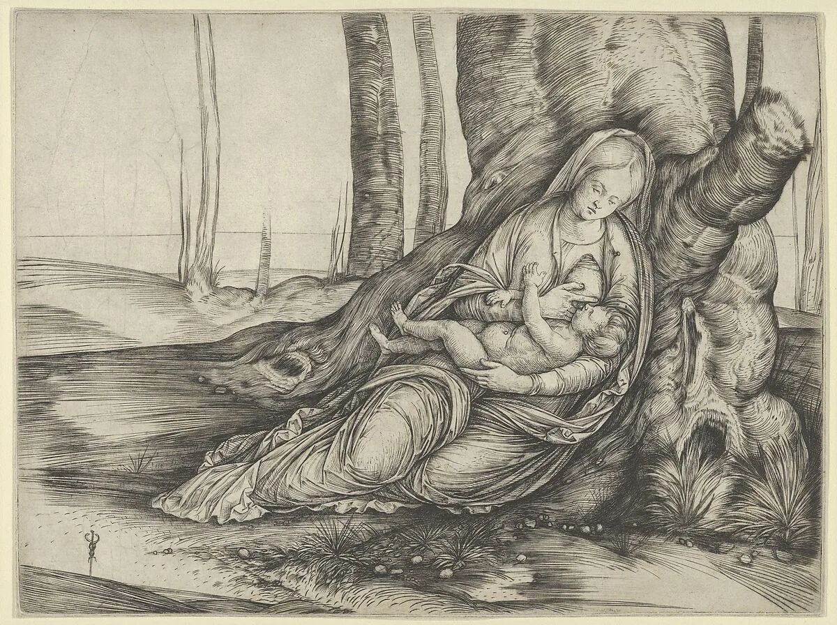 The Madonna nursing the Christ Child at the foot of a tree — Jacopo de' Barbari