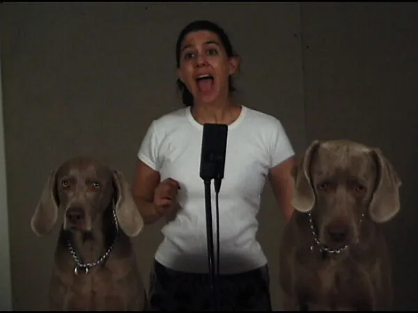 Okay, Go! — William Wegman