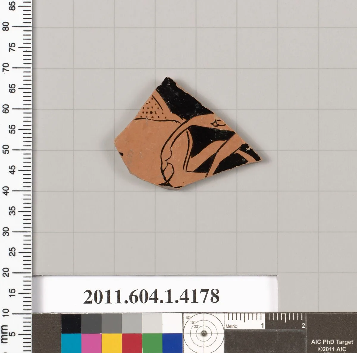Terracotta fragment of a kylix (drinking cup) — Unknown