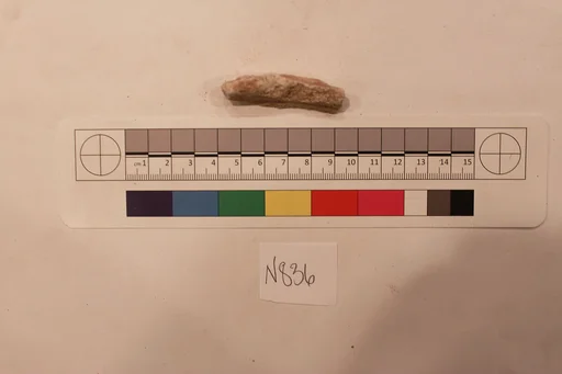 Stucco Fragment