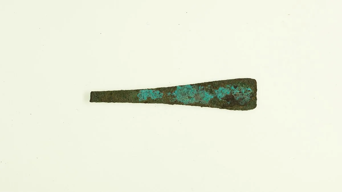 Tweezer fragment — Unknown