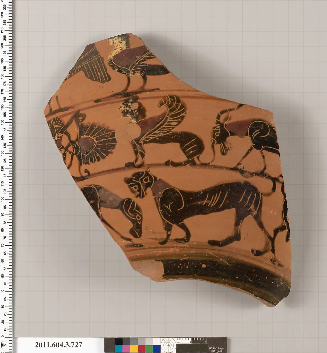 Terracotta fragment of a neck-amphora (jar) — Unknown