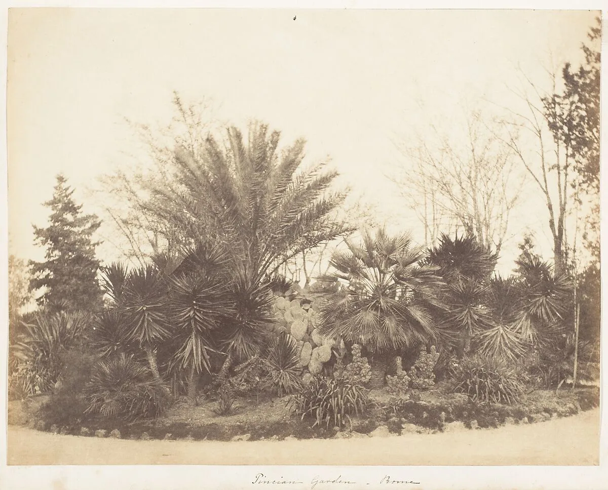 Pincian Garden, Rome — Jane Martha St. John