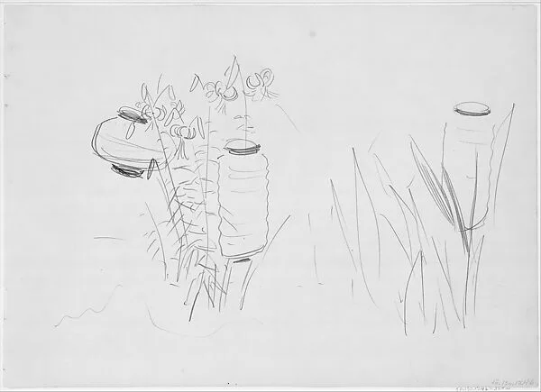 Japanese Lanterns and Lilies, Study for "Carnation, Lily, Lily, Rose" — John Singer Sargent