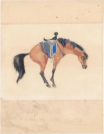 Horse