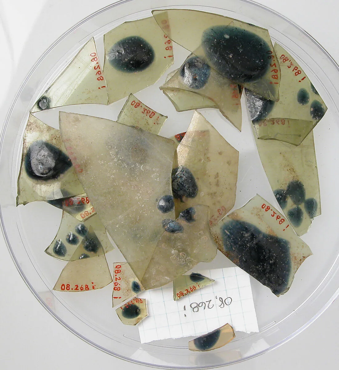 Glass Fragments from a Vessel — Unknown