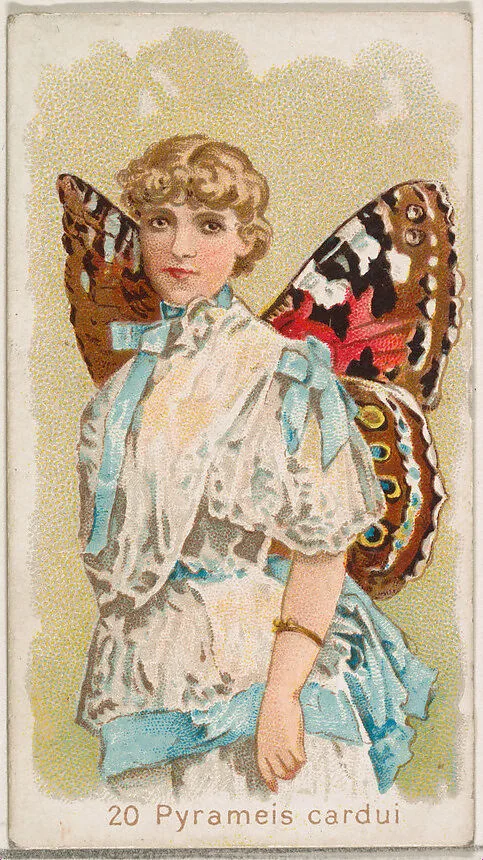 Card 20, Pyrameis Cardui, from the Butterflies series (N183) issued by Wm. S. Kimball & Co. — William S. Kimball & Company|Julius Bien