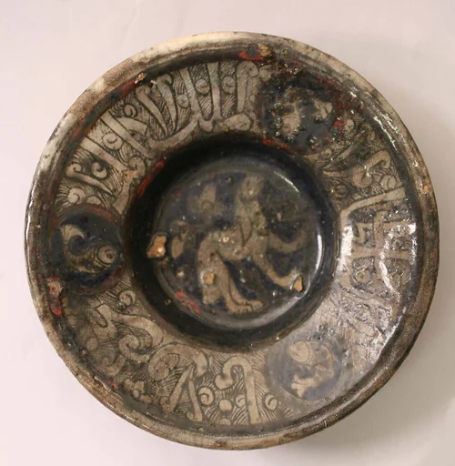 Dish