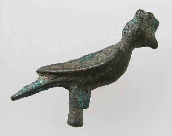 Bird — Unknown