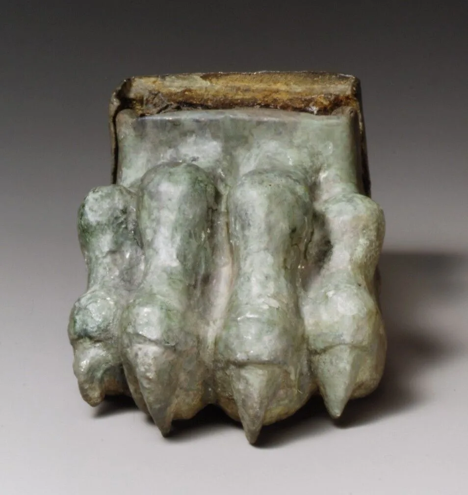 Bronze lion paw — Unknown