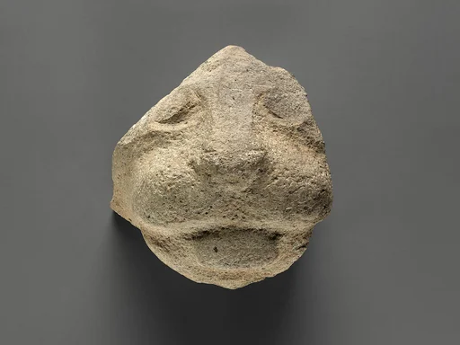 Lion head