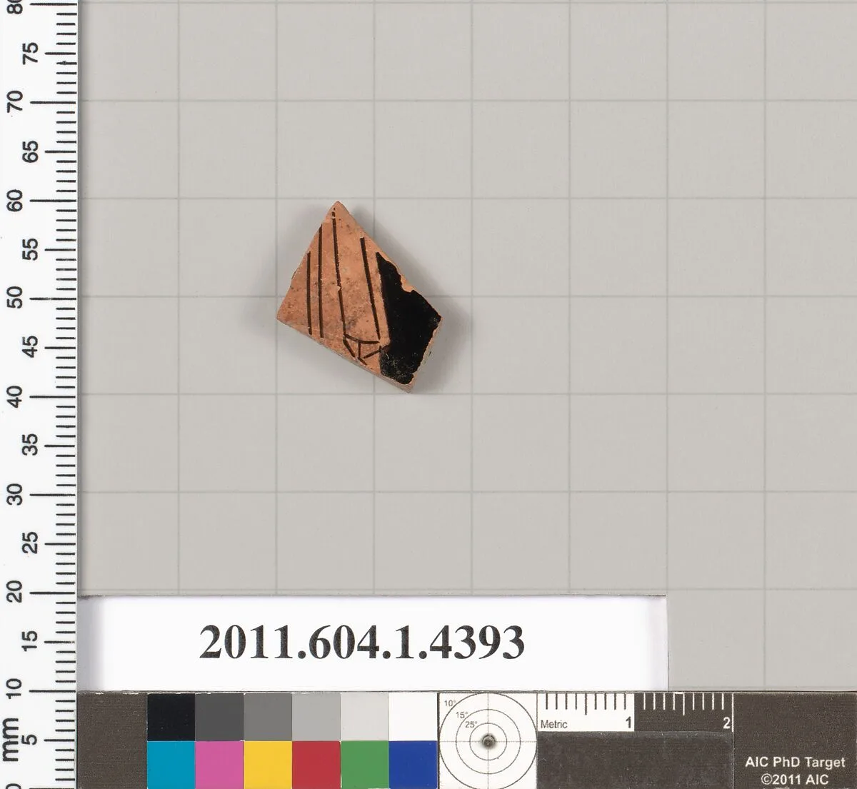 Terracotta fragment of a kylix (drinking cup) — Unknown