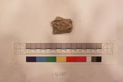Stucco Fragment