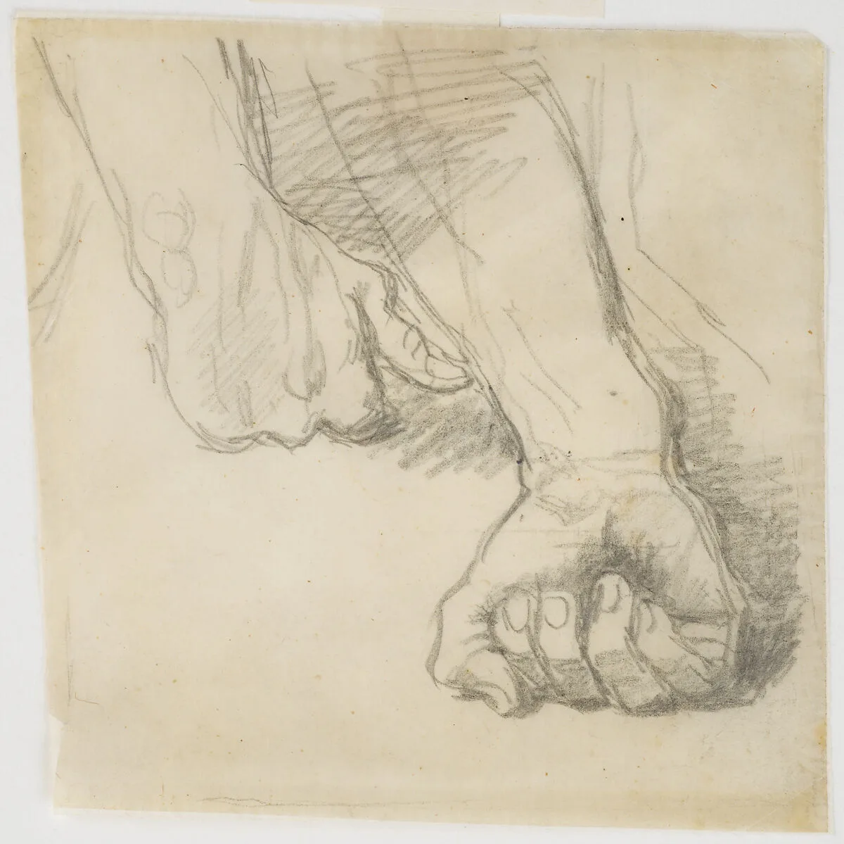 Study of Hands for "Christ Among the Doctors" — Jean Auguste Dominique Ingres
