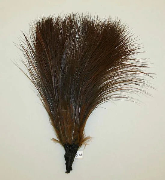Aigrette — Unknown