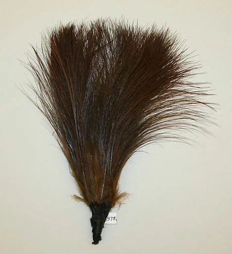 Aigrette
