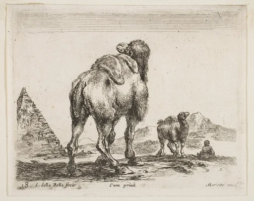 Camel viewed from behind with pyramid at left, plate 18 from "Various Animals" (Diversi Animali)