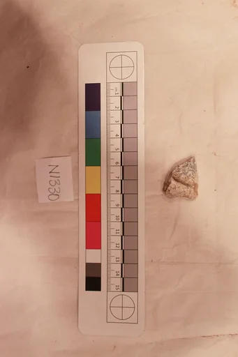 Stucco Fragment
