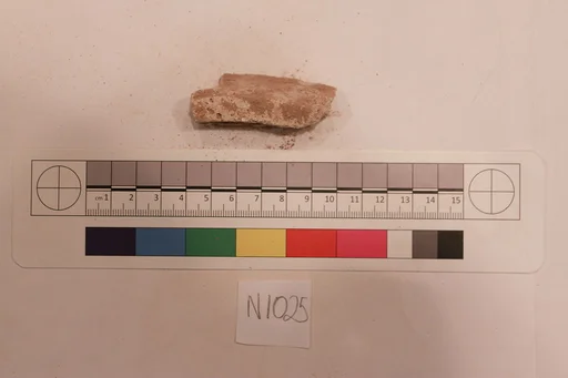 Stucco Fragment