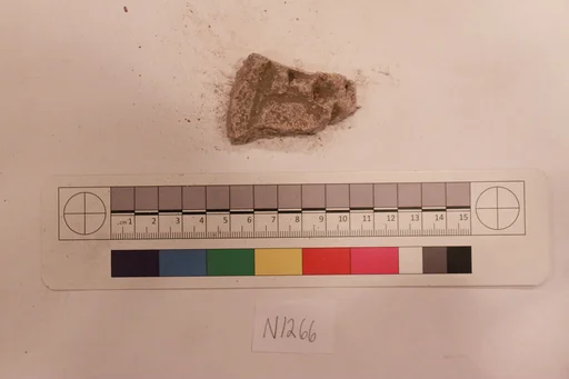 Stucco Fragment