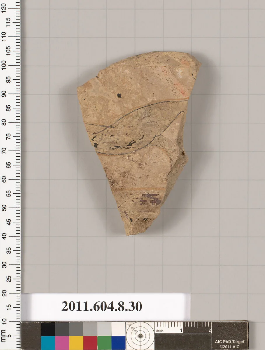 Terracotta fragment of an amphora (jar)? — Unknown