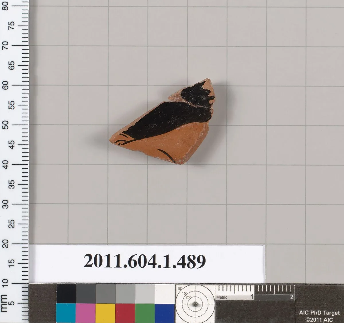 Terracotta fragment of a kylix (drinking cup) — Unknown