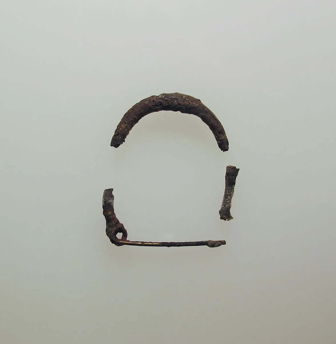 Fibula — Unknown