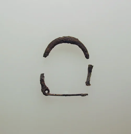 Fibula