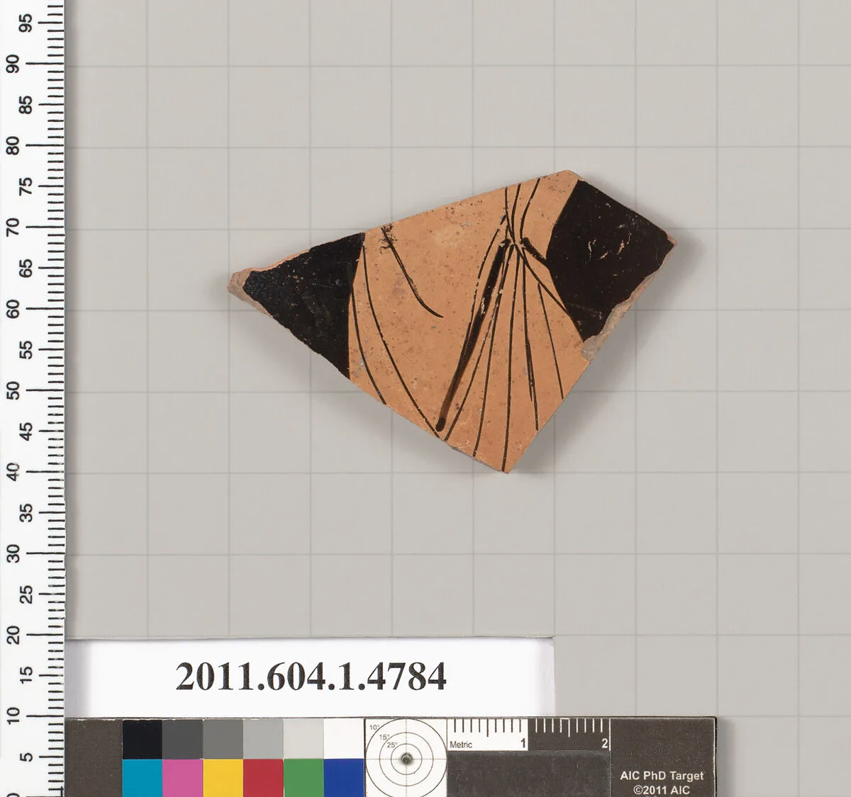 Terracotta fragment of a kylix (drinking cup) — Unknown