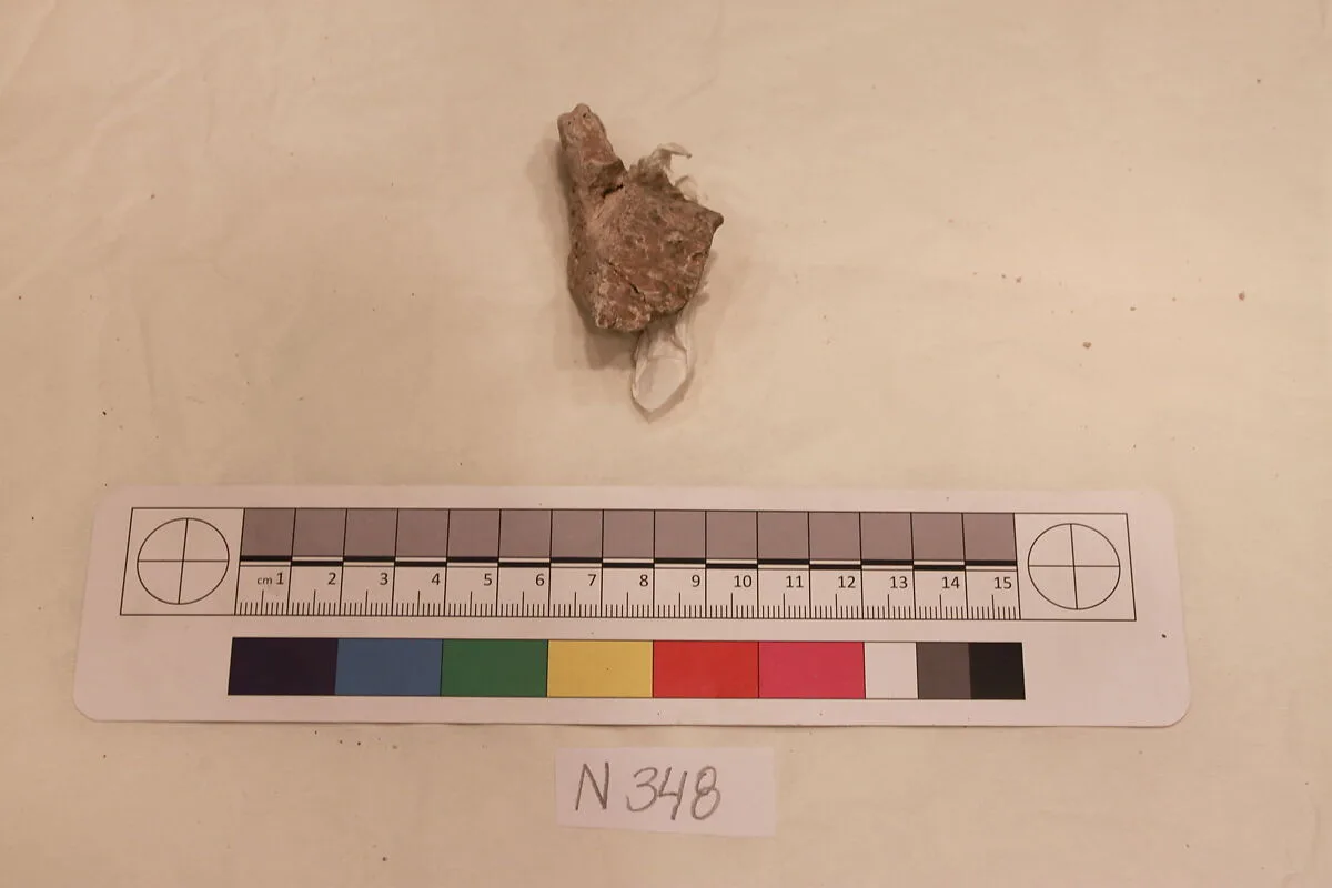 Stucco Fragment — Unknown