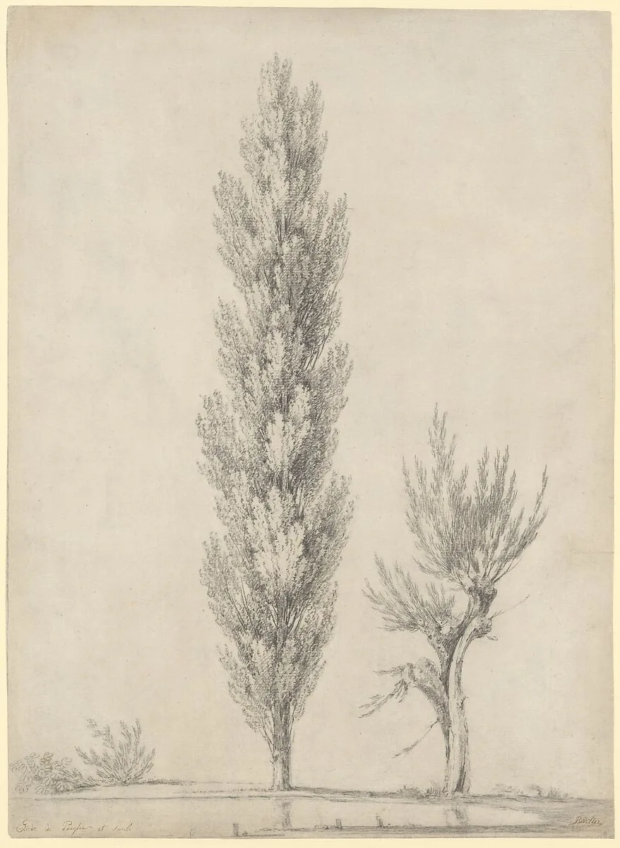 Landscape with a Poplar and a Willow Tree at the Edge of a Pond — Jean Victor Bertin
