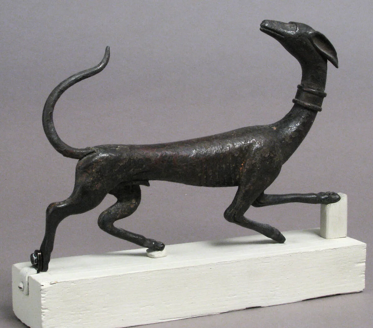Hunting Dog — Unknown