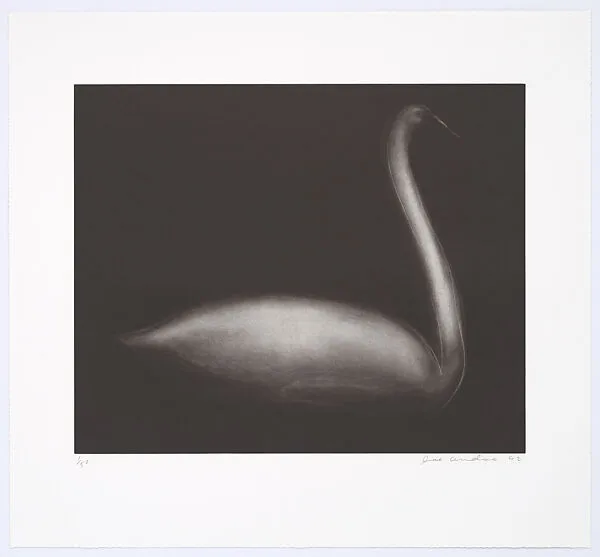 Swan — Maurice Payne|Joe Andoe|Mezzanine Gallery, Metropolitan Museum of Art