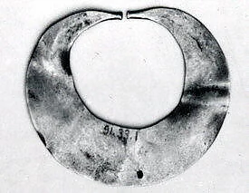 Nose ornament
