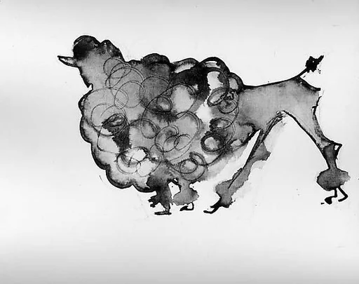 Poodle