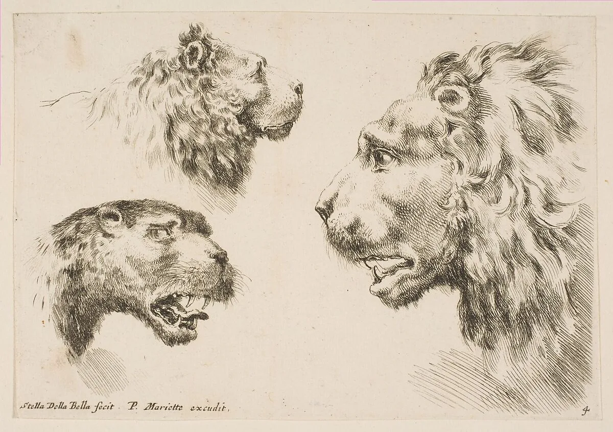 Heads of Three Lions — Stefano della Bella|Pierre Mariette
