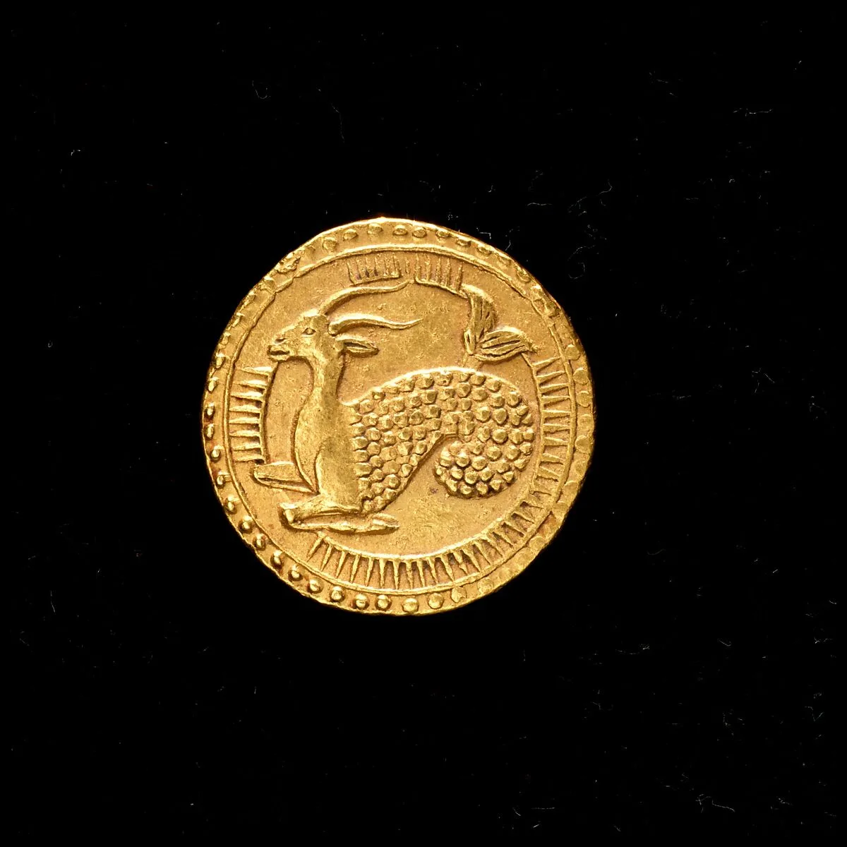 Coin — Unknown