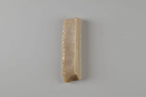 Sickle Insert
