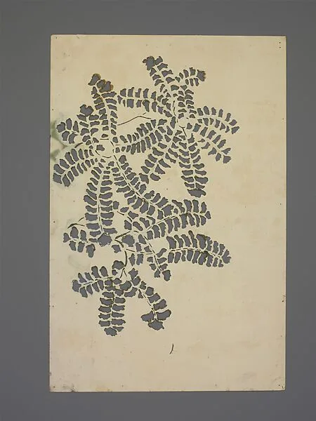 Paper Stencils — Dorothy Marshall Hornblower