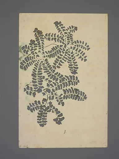 Paper Stencils