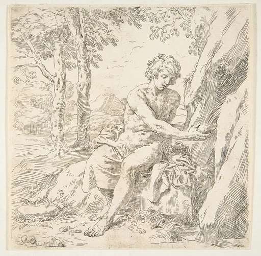 Saint John the Baptist in the desert