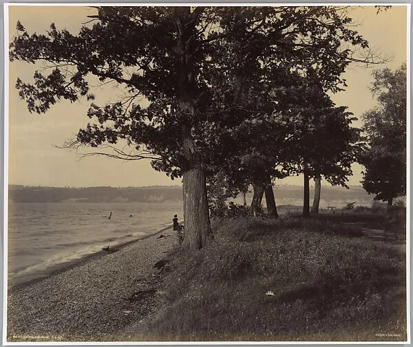 Cayuga Lake Sheldrake L.V.R.R. — William H. Rau