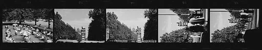 [Five 35mm Film Frames: Views of a Park and Stone Gate, Possibly England]