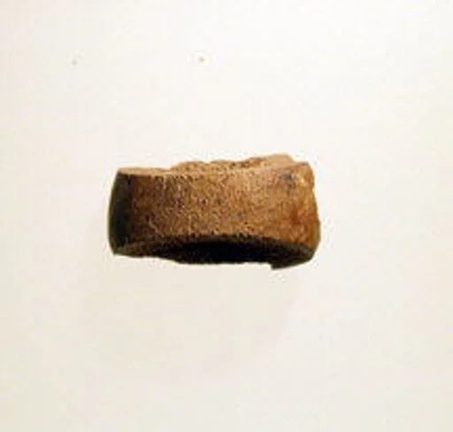 Fibula, fragment