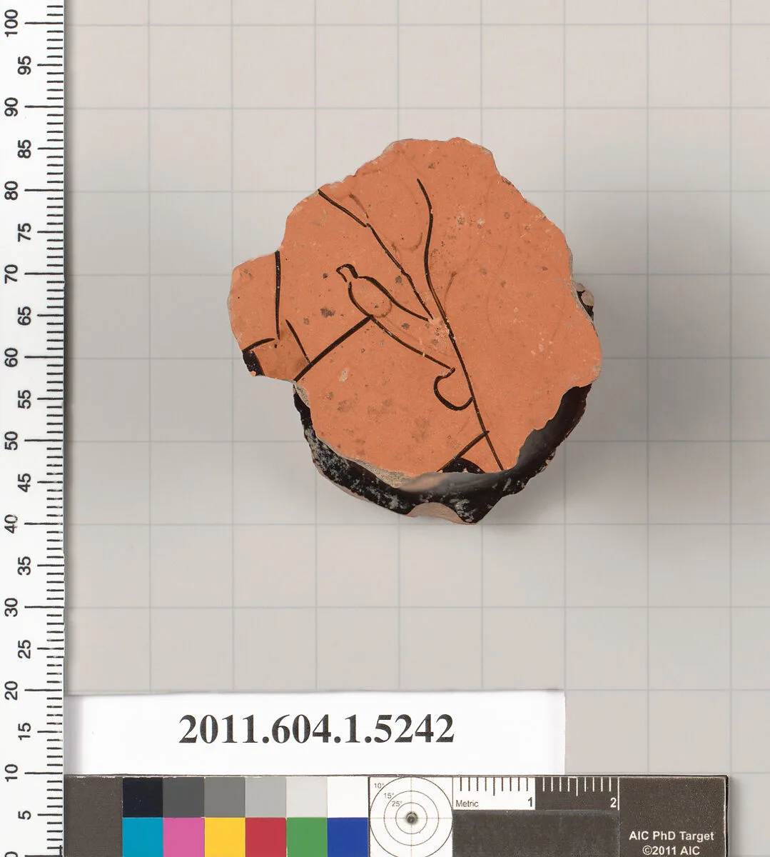 Terracotta fragment of a kylix (drinking cup) — Unknown