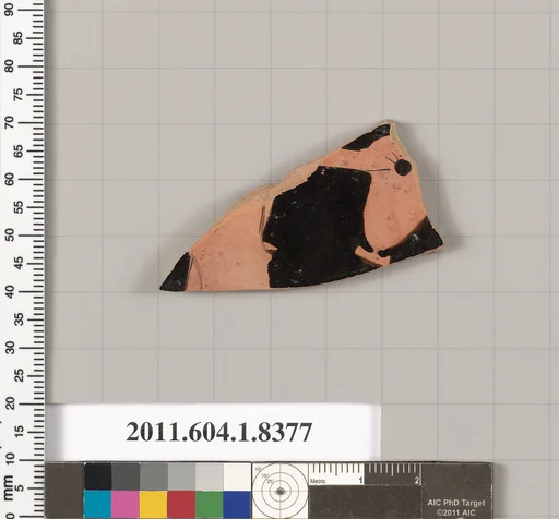 Terracotta fragment of a kylix (drinking cup)