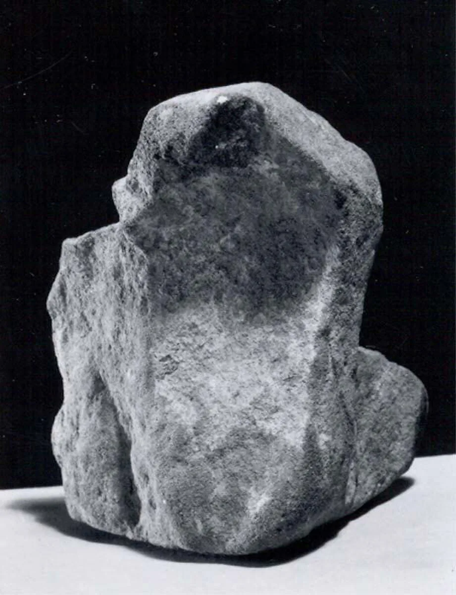 Raw material — Unknown